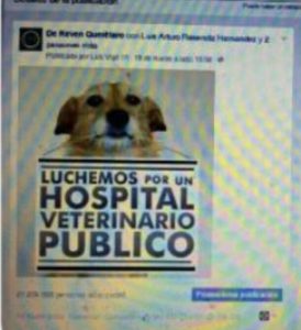 la foto 1