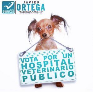 la foto 2